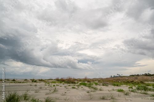 Swirling clouds in the sky above vegetation  dunes  and beach grass  near Beaufort  South Carolina