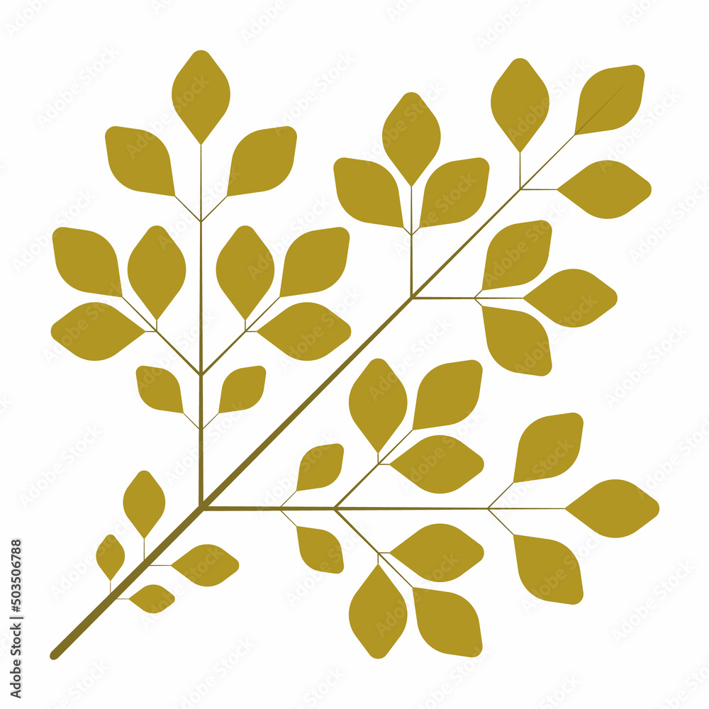 dry twigs isolated on white background dry twigs isolated on white background
