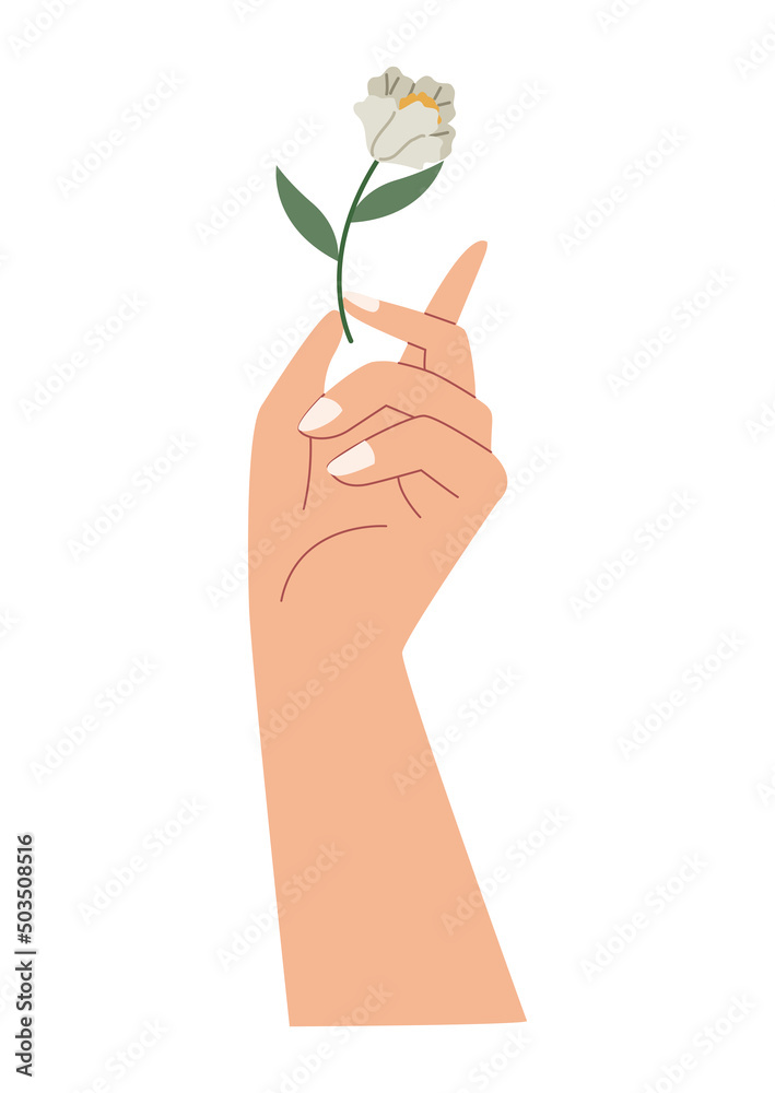 woman hand lifting flower