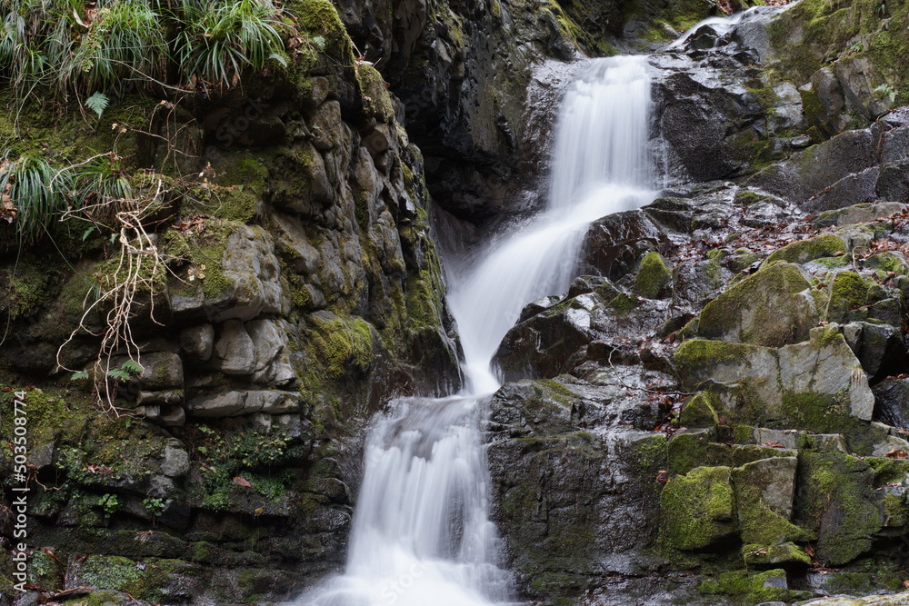 Obraz premium waterfall in the forest