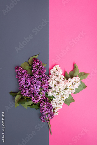 flowers lilac white and purple on a double background of gray and pink. copy space