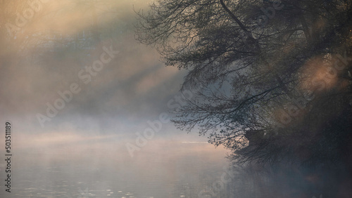 Beautiful landscape image of sunrise mist on urban lake with sun beams streaming through tress lighting up water surface