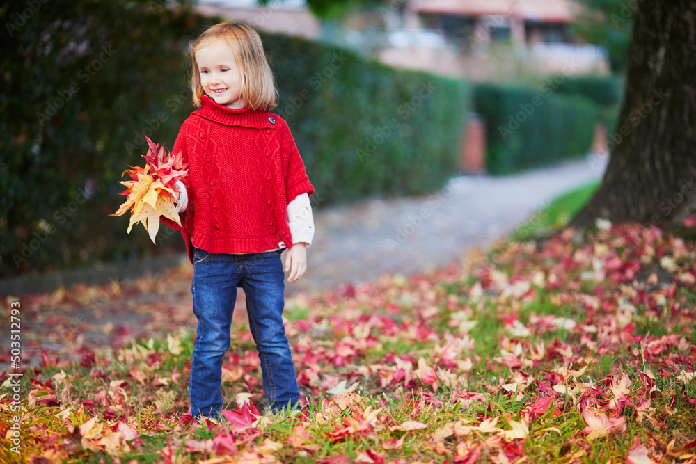 Adorable preschooler girl gathering red fallen maple leaves in autumn park