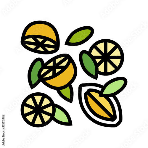 composition lemon color icon vector. composition lemon sign. isolated symbol illustration