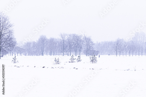 Beautiful and bright landscape or park with people in snowy winter weather during blizzard or winterstorm