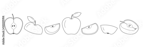 Line apple set. Sketch sliced apples collection. Hand-drawn slices, whole and half linear fruits. Vector isolated on white.