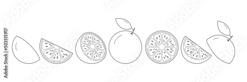 Line orange set. Sketch sliced grapefruit collection. Hand-drawn slices, whole and half linear fruits. Vector isolated on white.