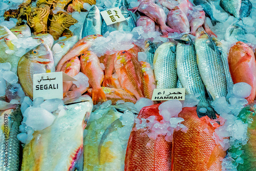 A beautiful and colorful selection of local fish and seafood at  Abu Dhabi's Al Mina Fish Market