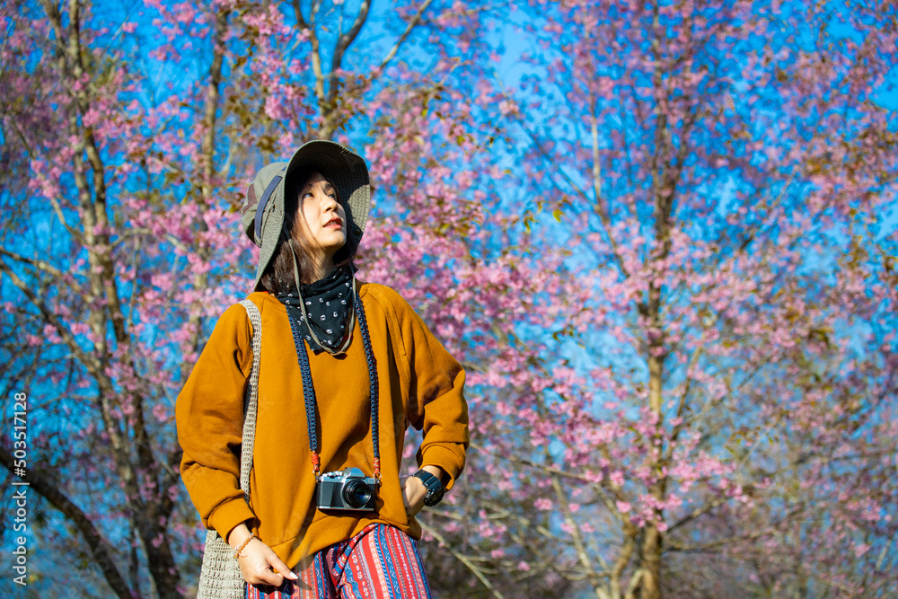 A Thai woman in the park of pink cherry blossoms trees. A Thai woman in the park of pink cherry blossoms trees.