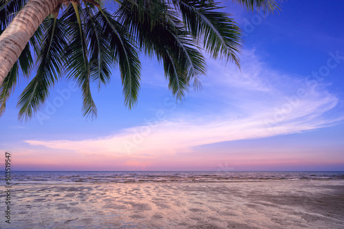 Tropical beach with coconut tree on during ebb time. Low tide beach sunset view with palm tree.