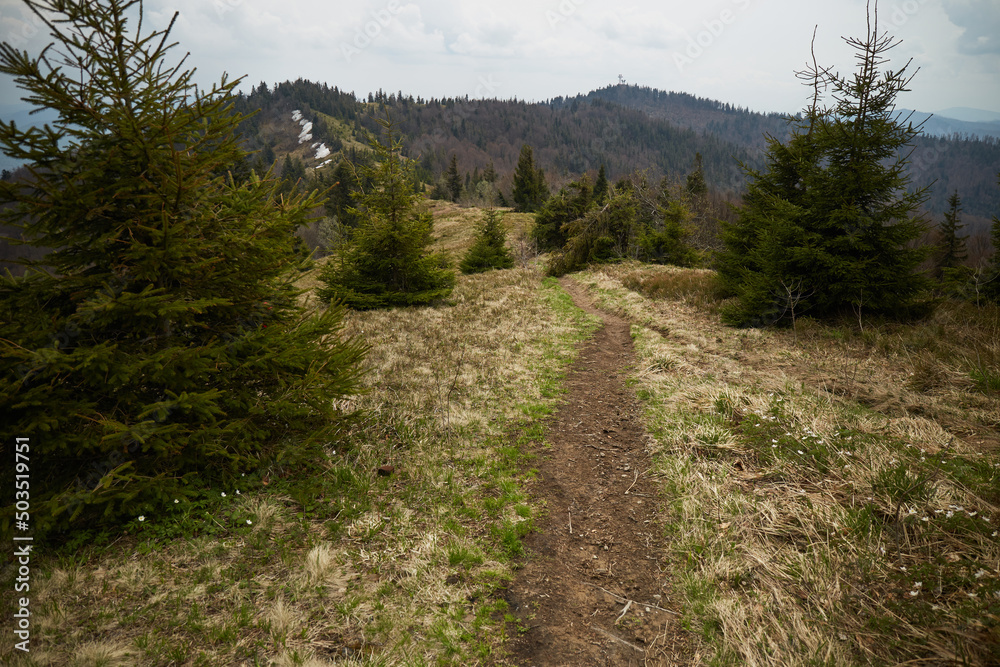 Mountain trail. Spring in Carpathian Mountains. Ukraine Mountain trail. Spring in Carpathian Mountains. Ukraine
