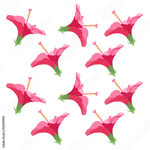 Beautiful hibiscus flowers Vector set of blooming tropical floral for holiday invitations, greeting card and fashion design Tropicania and exoticism