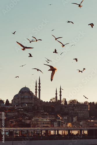 The seagulls flying over Istanbul panorama and Bosphorus. Birds over the mosques.