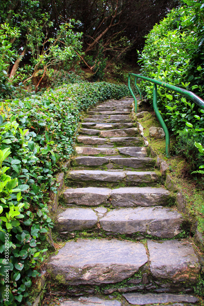 stairs in a garden stairs in a garden