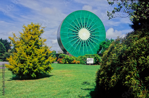 Kiwifruit industry in New Zealand