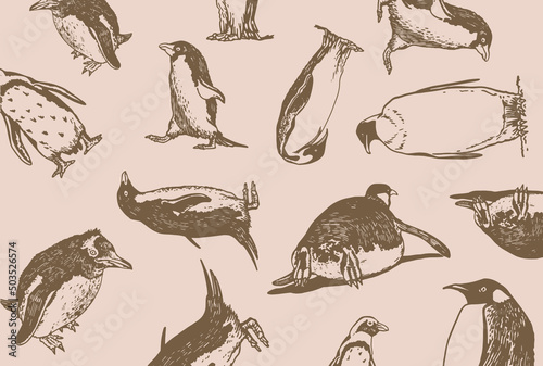  pattern penguins, stylish vintage cover for for fabric, postcards, wallpapers,graphical vector illustration with sepia background