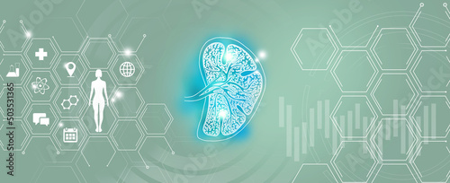 Graphic illustration of Spleen organ visualization. Healthcare concept background with medical icons. photo