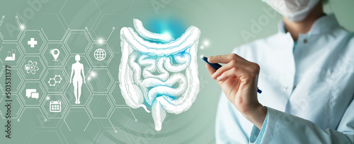Foto Unrecognizable female doctor holding graphic virtual visualization model of Intestine organ in hands