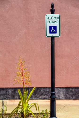 Reserved - Handicapped parking sign in front of pink stucco wall with flower growing beside pole