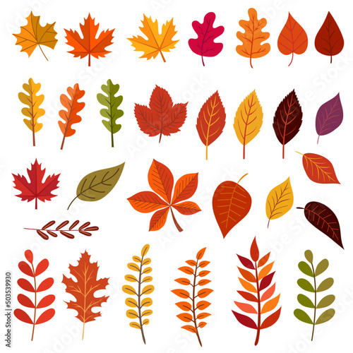 set of different autumn leaves isolated on transparent background. set to create a design. vector illustration 