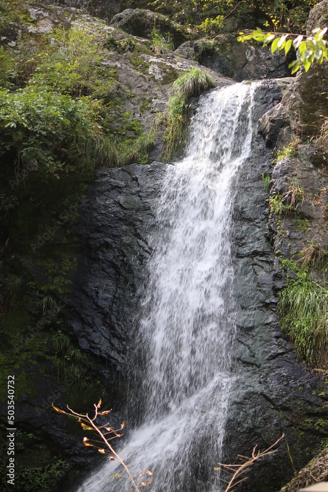 Fototapeta premium waterfall in the mountains