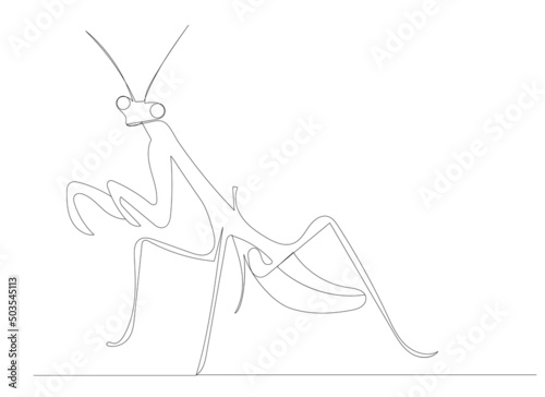 praying mantis drawing in one continuous line, isolated, vector