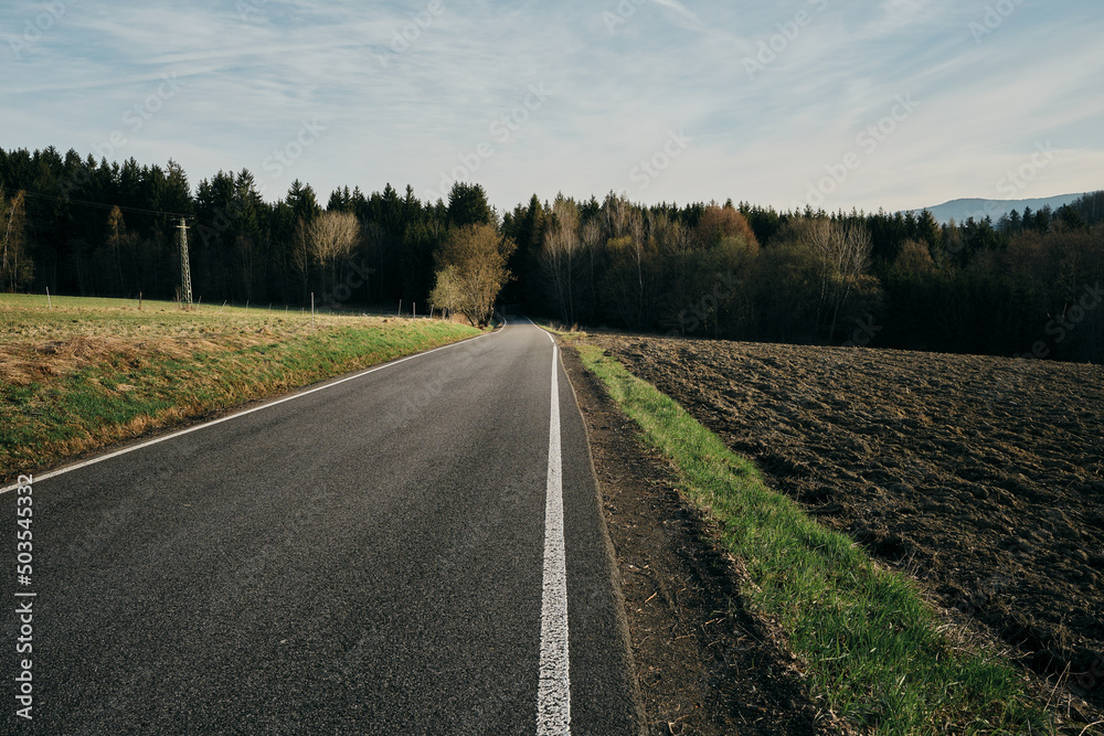 Fototapeta premium view of the road leading into the dark forest in the morning sunlight