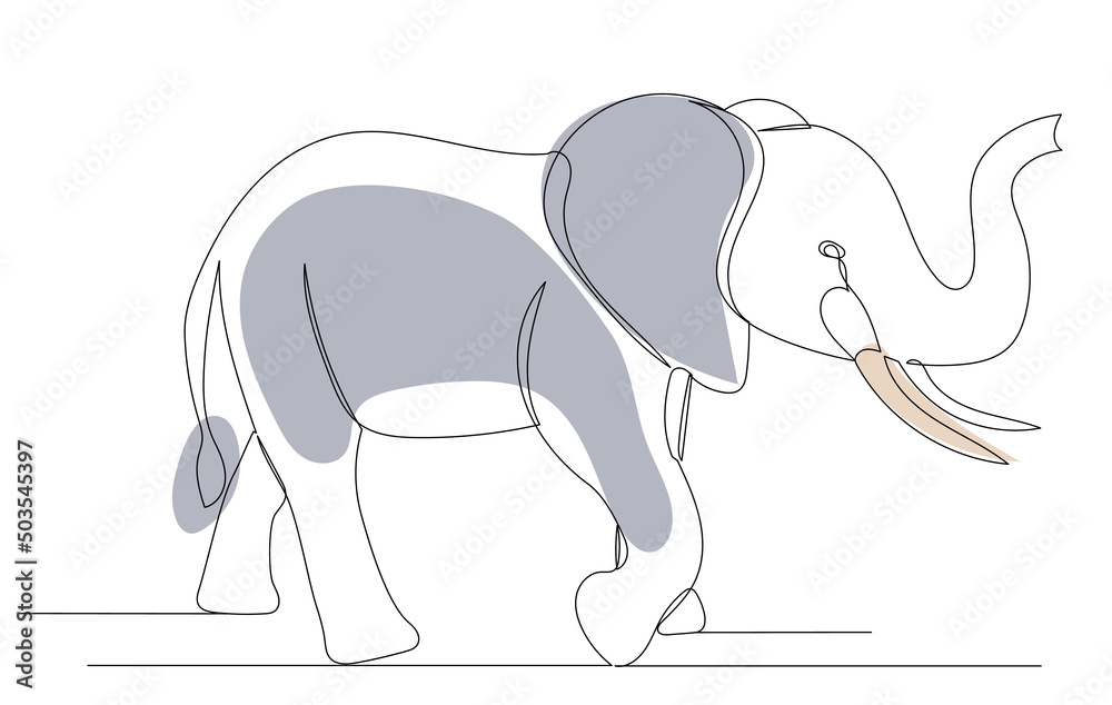Fototapeta premium elephant drawing in one continuous line, isolated, vector