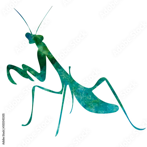 praying mantis watercolor silhouette, on white background, isolated, vector