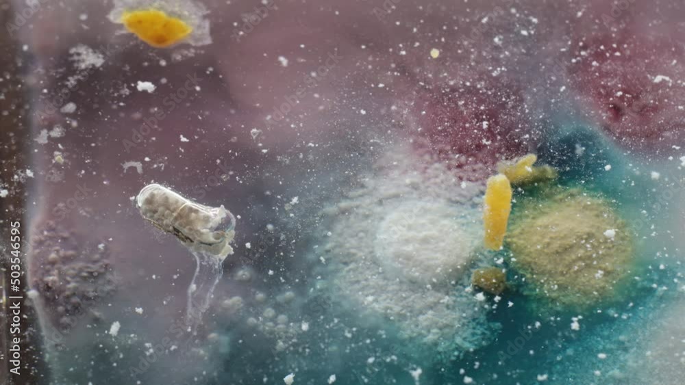 pill floating in water, dissolving particles, drug in water, absorption process, disintegration, disintegration