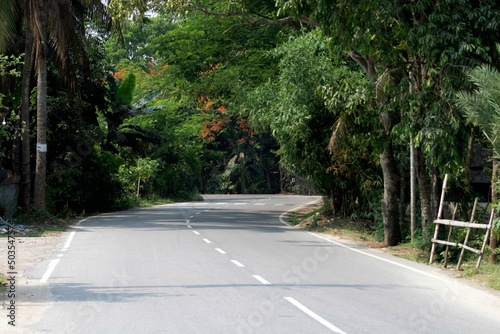 Nature Green Bypass Road View