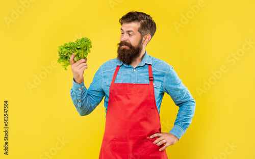 Happy man in apron looking at fresh leaf lettuce yellow background, greengrocer