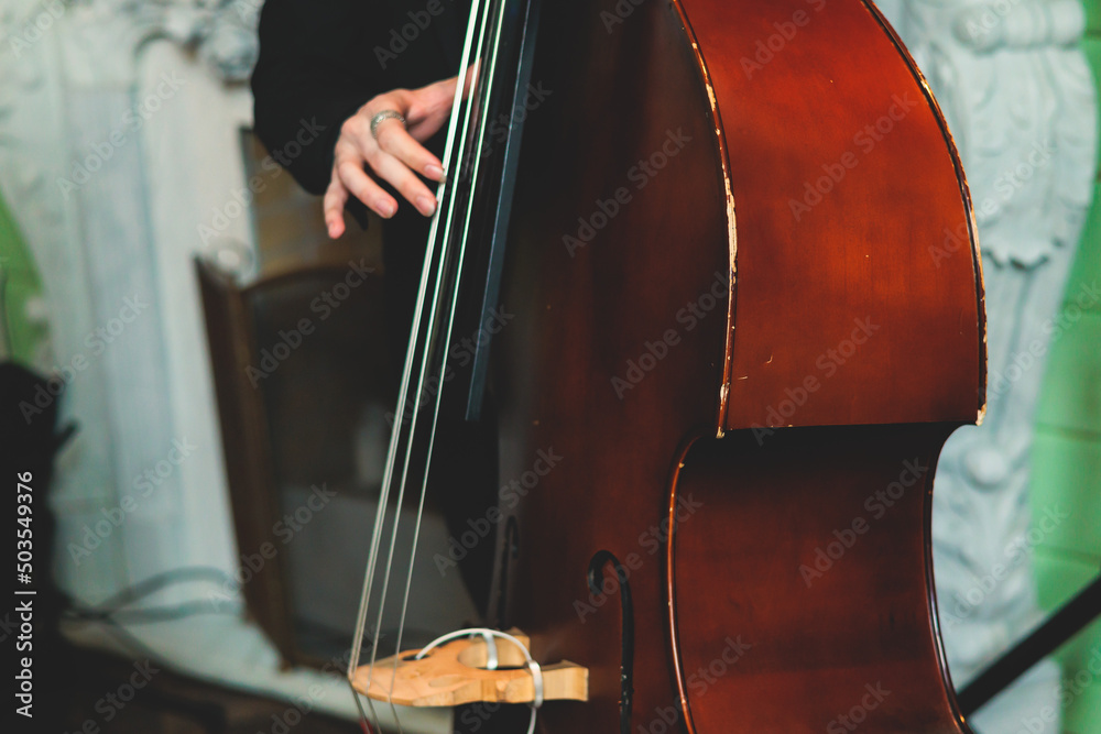 Concert view of contrabass violoncello player with vocalist and musical band during jazz orchestra band performing music, violoncellist cello jazz player on stage Concert view of contrabass violoncello player with vocalist and musical band during jazz orchestra band performing music, violoncellist cello jazz player on stage