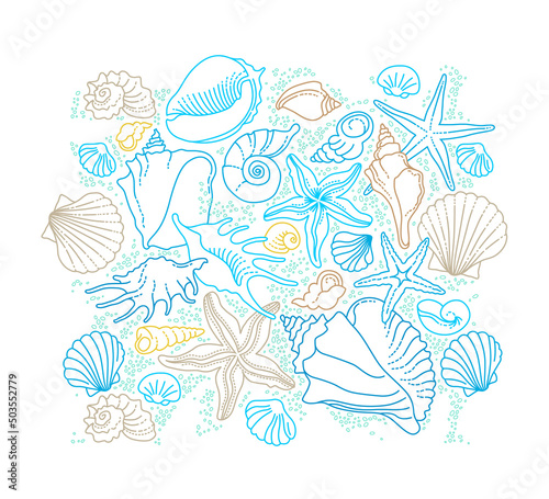 Vector illustration of line art tropical sea elements, seashells, starfish. Doodles of marine life. Sea decor. Ocean invertebrates, sea creatures. Maritime illustration