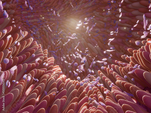 Konstfotografi Microbiome intestine factories and microbiota