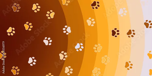 Fototapeta Tło zwierzęta domowe.