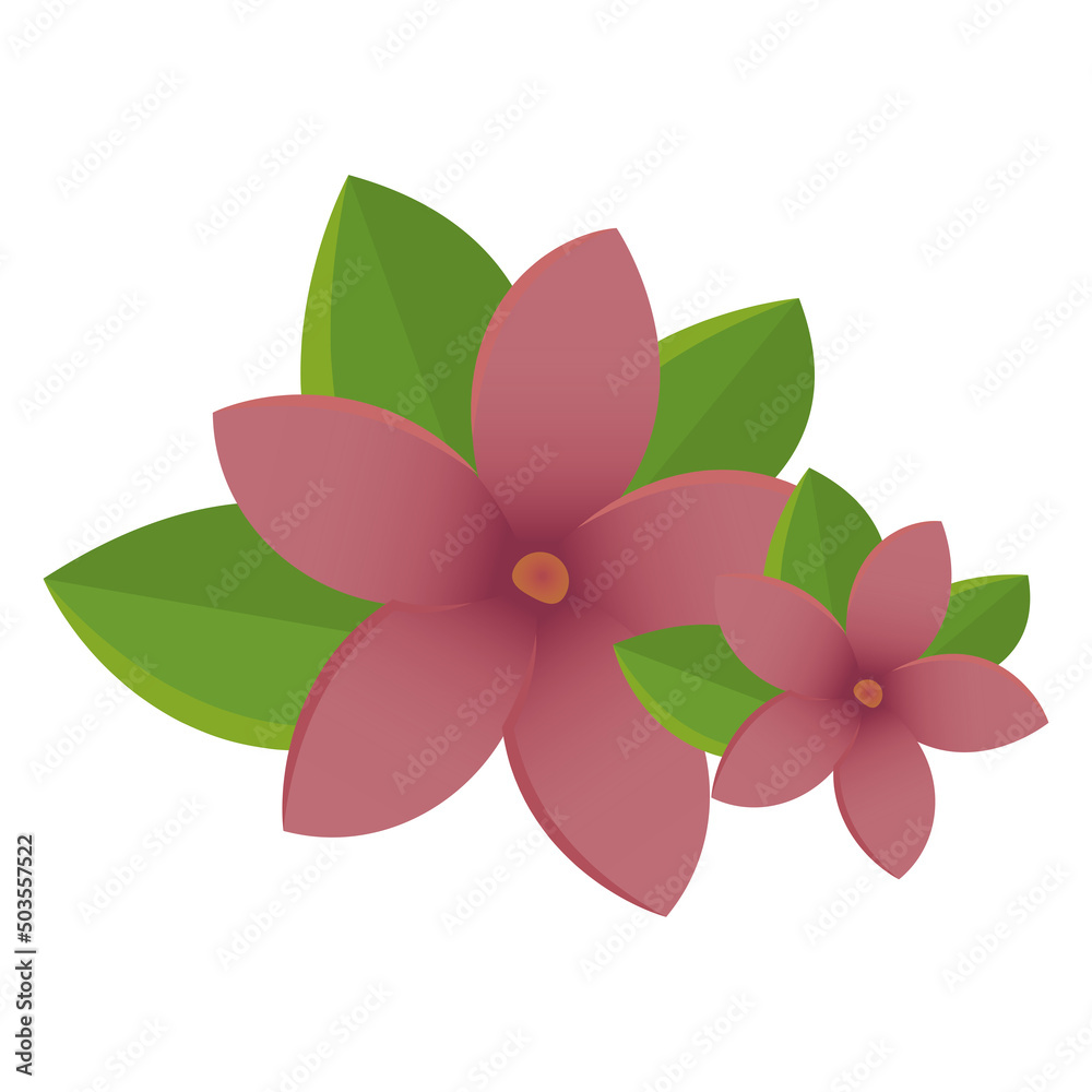 Isolated pink flowers spa vector illustration Isolated pink flowers spa vector illustration