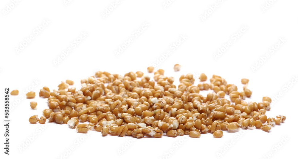 Cooked spelt grain pile isolated on white Cooked spelt grain pile isolated on white