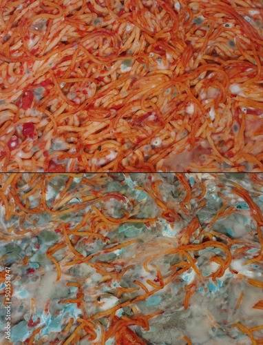 a close-up with two stages of advancing mold on food