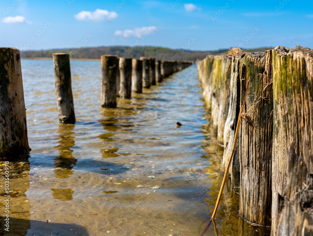 Buhnen am Großen Jasmunder Bodden, Insel Rügen Buhnen am Großen Jasmunder Bodden, Insel Rügen