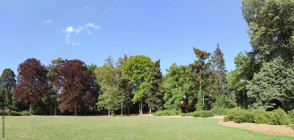 Massive summer landscape of open space with trees of various colors.