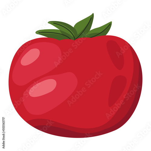 fresh tomato vegetable