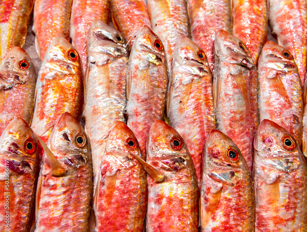 Fish market. Mediterranean fresh mullet fish Fish market. Mediterranean fresh mullet fish