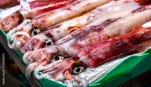 Fish market. Fresh big squid lie on the counter