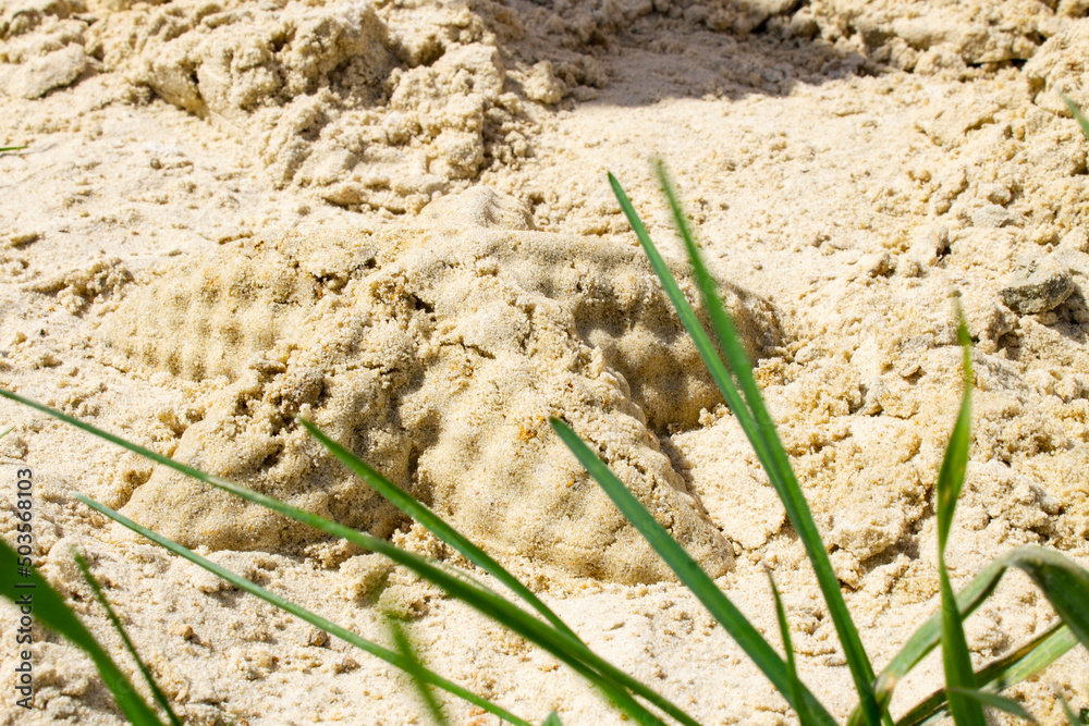 Children's sandbox. Sandbox molds. Children play in the sandbox. Sand on the playground. Children's sandbox. Sandbox molds. Children play in the sandbox. Sand on the playground.