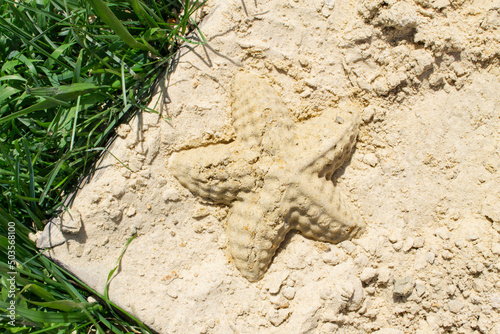 Children's sandbox. Sandbox molds. Children play in the sandbox. Sand on the playground.