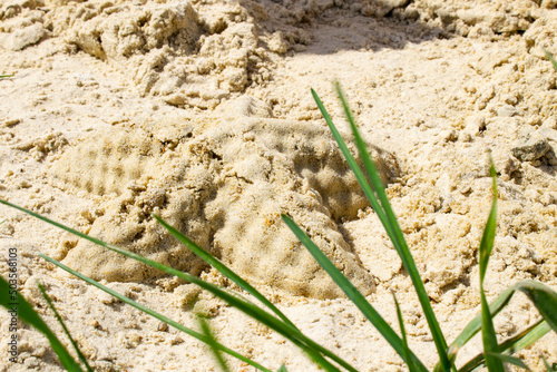 Children's sandbox. Sandbox molds. Children play in the sandbox. Sand on the playground.