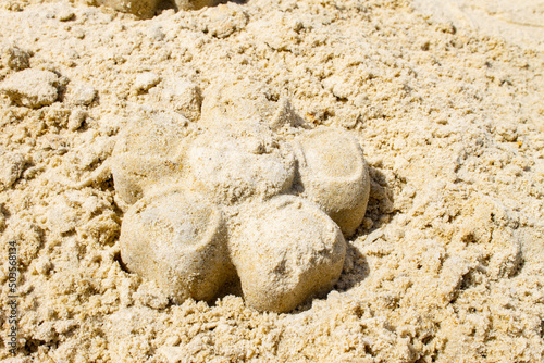 Children's sandbox. Sandbox molds. Children play in the sandbox. Sand on the playground.