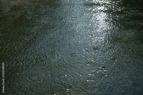 krople padającego deszczu do sadzawki