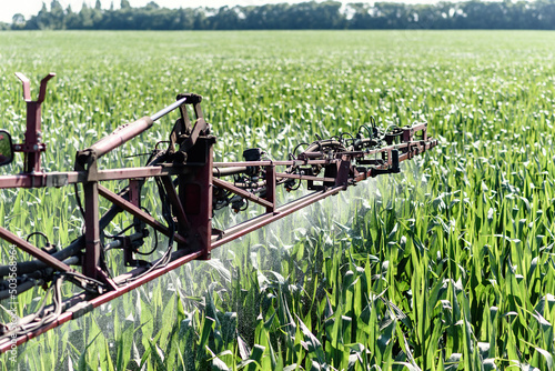 Self-propelled sprayer sprays pesticides on green corn on the field close up. Pesticide sprayer. The tractor sprays the grass with pesticides.